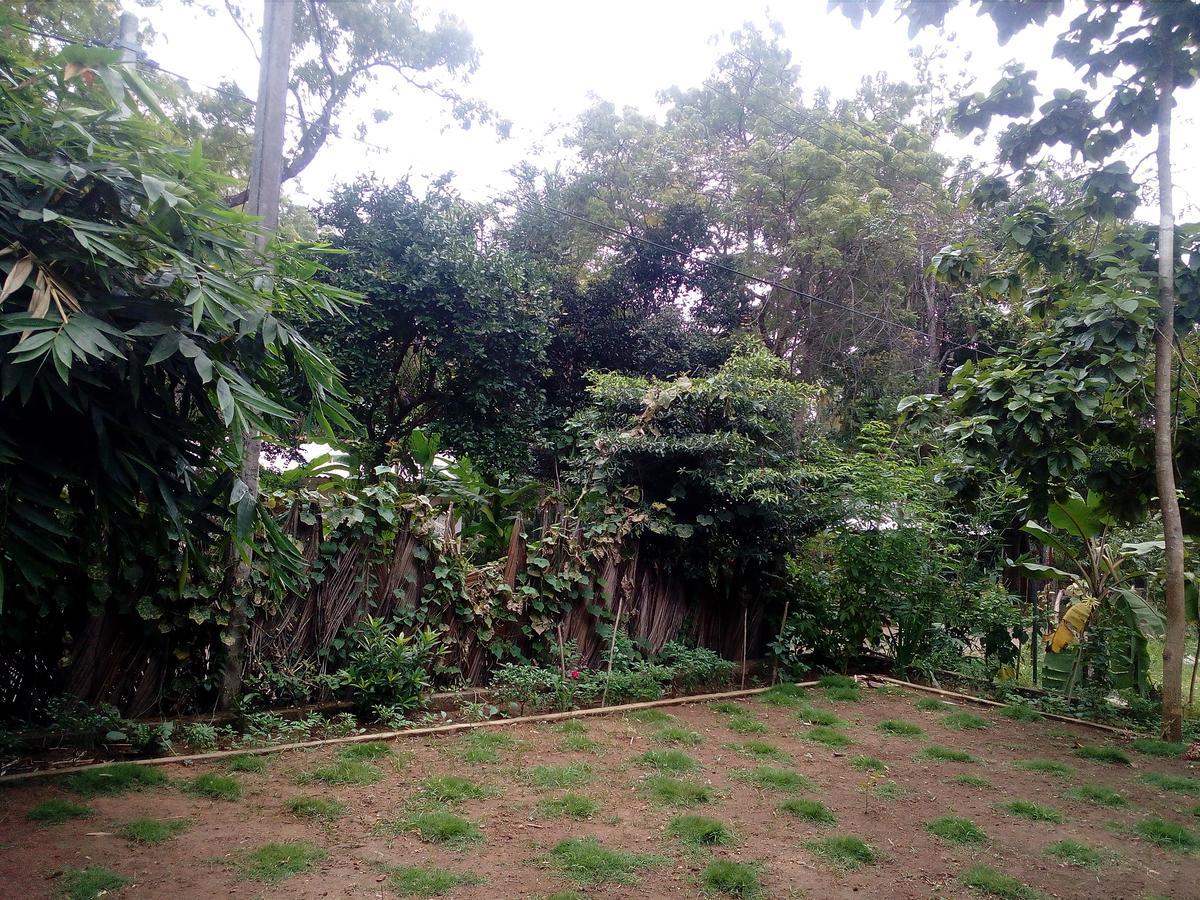 Thuruliya Residence Sigiriya Exterior photo